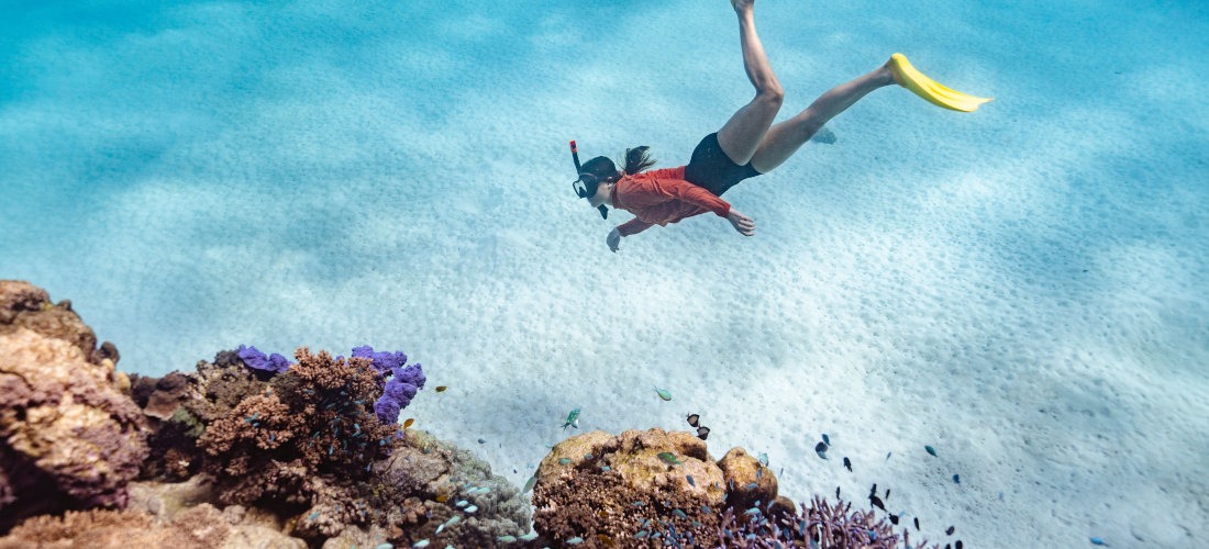Coral Coast and Pilbara Explorer
